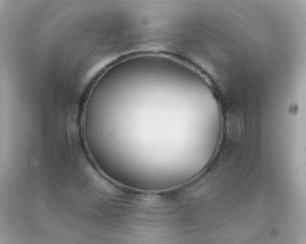 X0000091301452200708172159