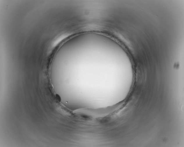 X0000091301453200708172159