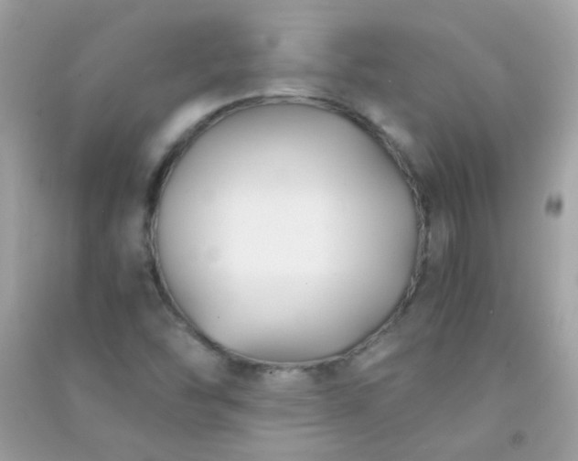 X0000091301454200708172159