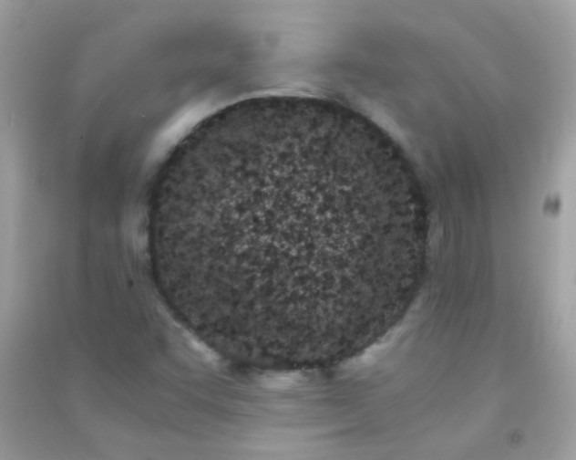 X0000091301455200708172159