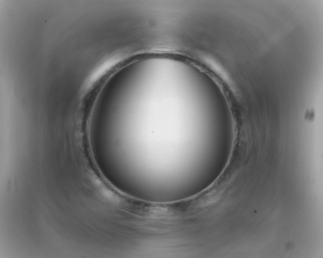 X0000091301456200708172159