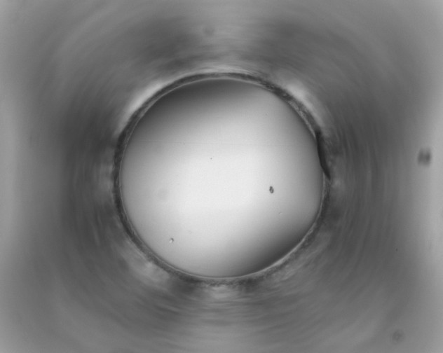 X0000091301460200708172159