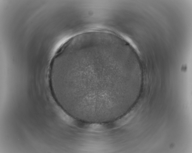 X0000091301463200708172159