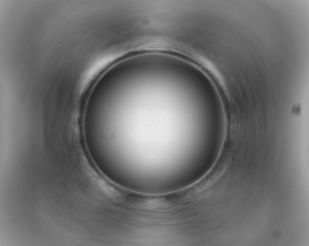 X0000091301464200708172159