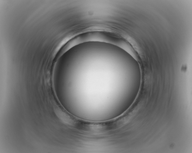 X0000091301465200708172159