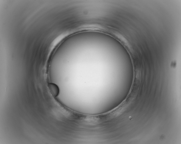 X0000091301466200708172159