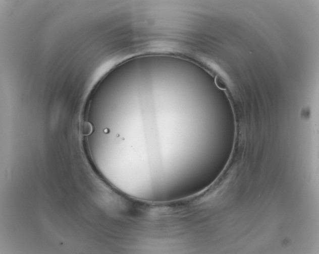 X0000091301467200708172159