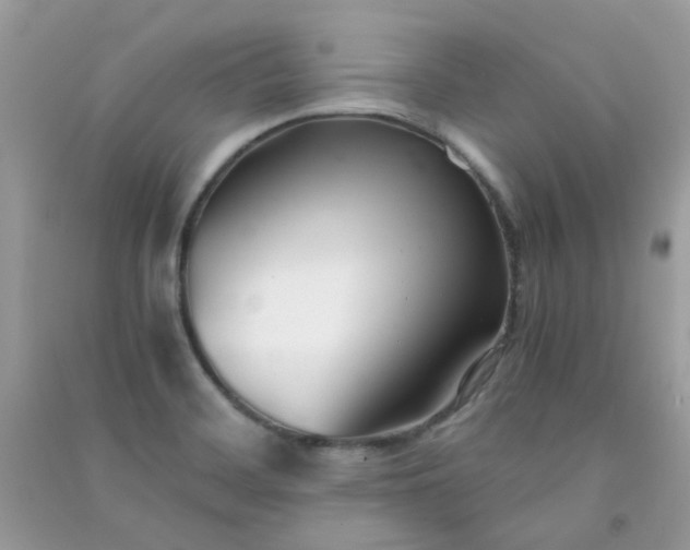 X0000091301468200708172159