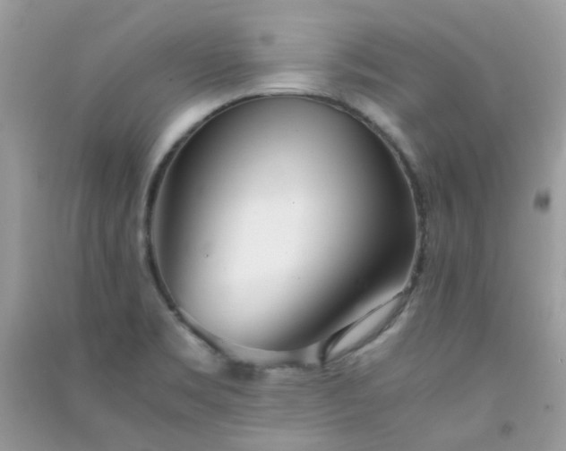 X0000091301469200708172159