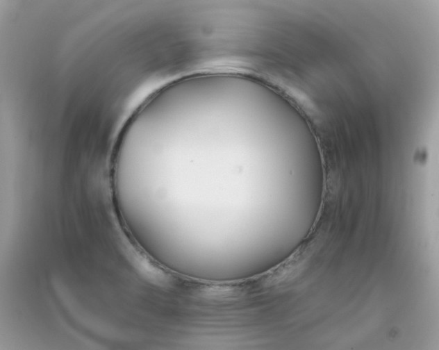 X0000091301470200708172159