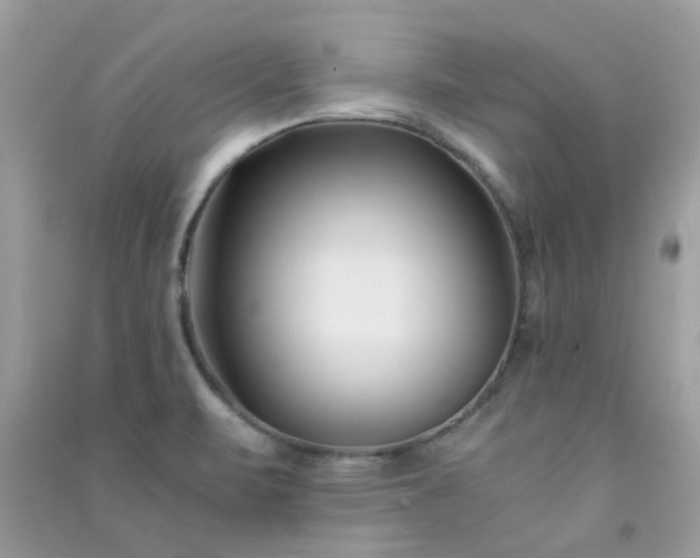 X0000091301471200708172159