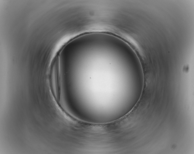 X0000091301472200708172159