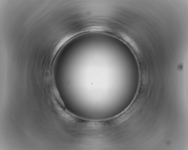 X0000091301473200708172159