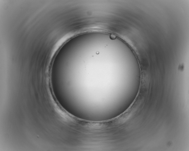 X0000091301474200708172159