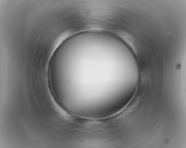 X0000091301475200708172159