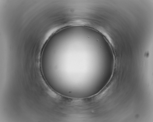 X0000091301477200708172158