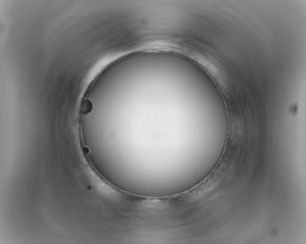 X0000091301478200708172158