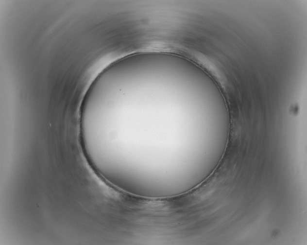 X0000091301479200708172158