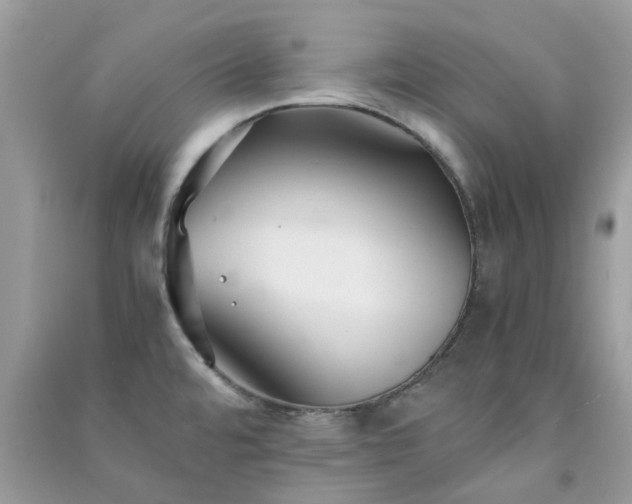 X0000091301480200708172158