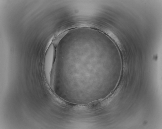 X0000091301481200708172158