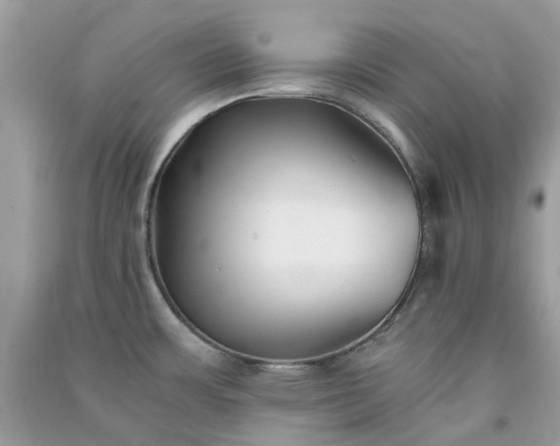 X0000091301483200708172158