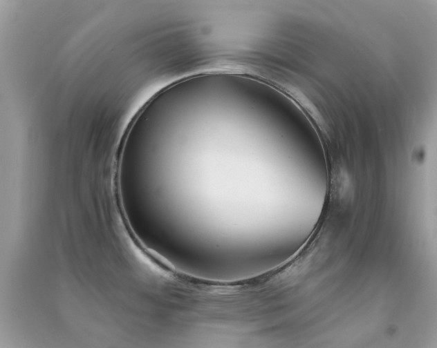 X0000091301484200708172158