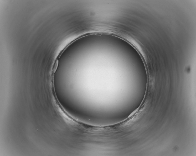 X0000091301485200708172158