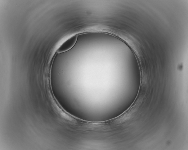 X0000091301486200708172158