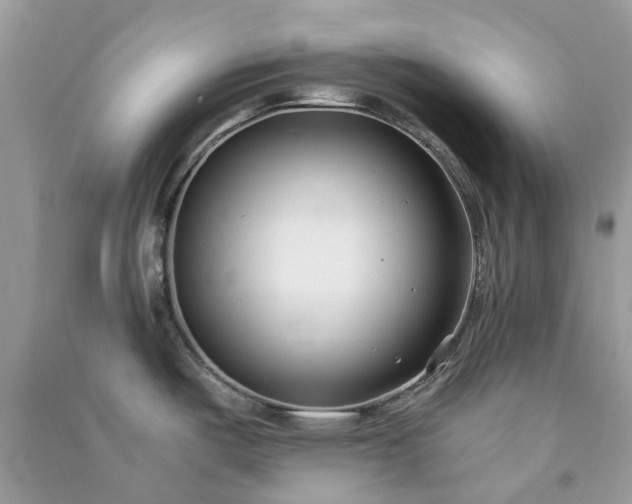 X0000091301487200708172158