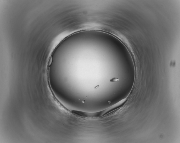 X0000091301488200708172158