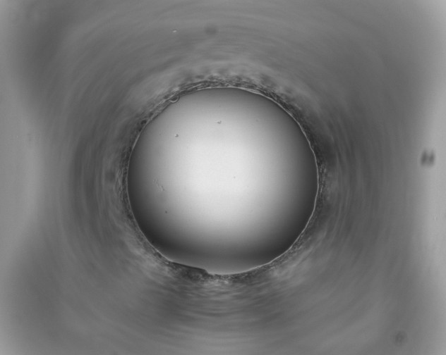 X0000091301489200708172158