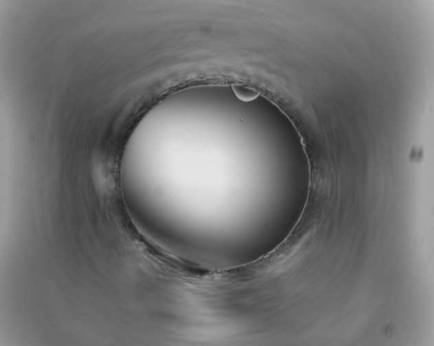 X0000091301490200708172158