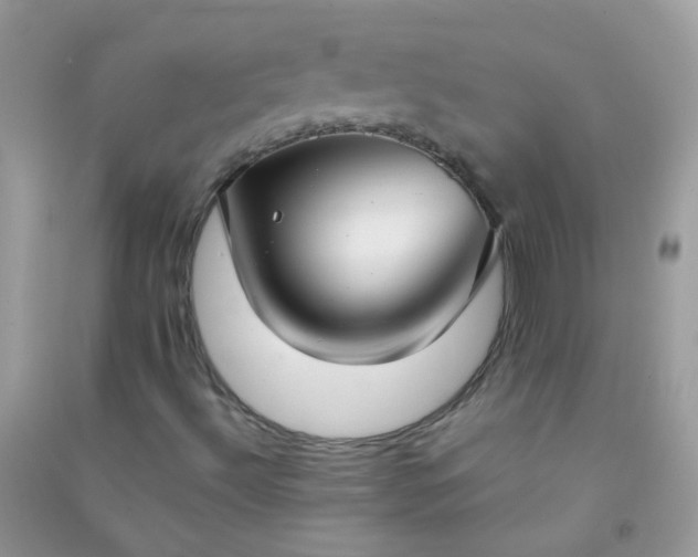 X0000091301492200708172158