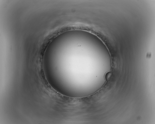 X0000091301493200708172158