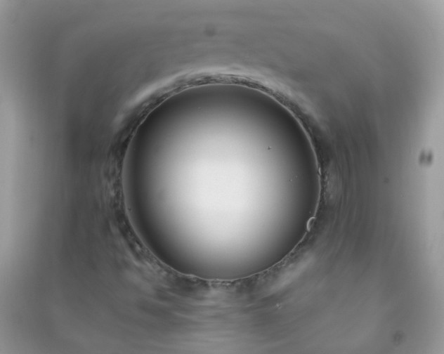 X0000091301494200708172158