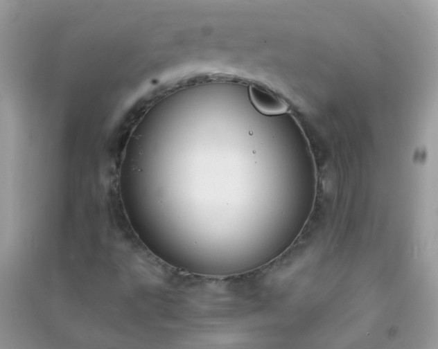 X0000091301495200708172158