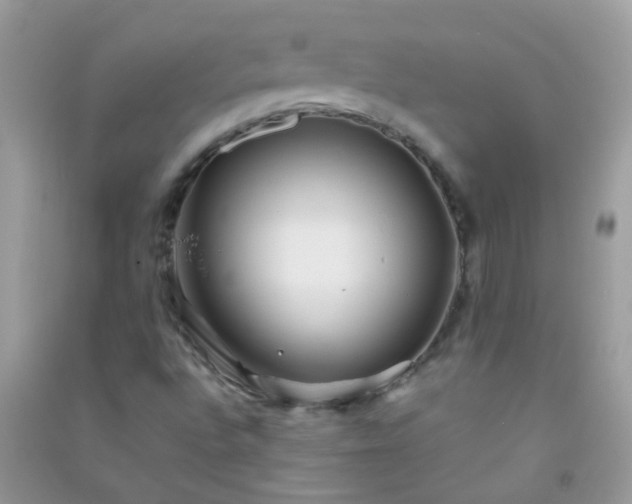 X0000091301496200708172158