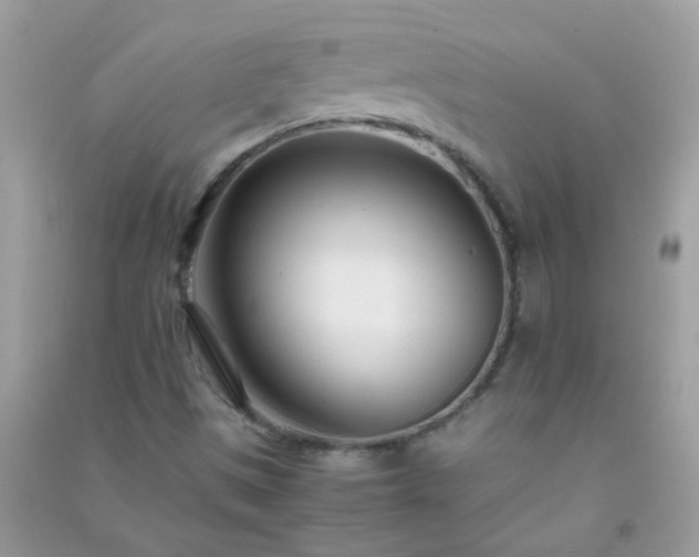 X0000091301497200708172158