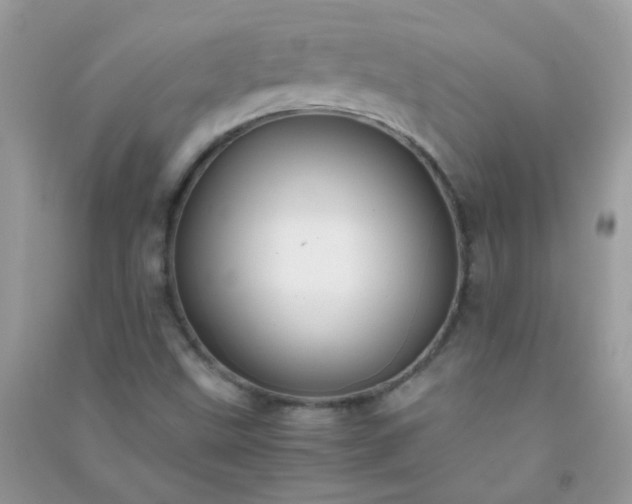 X0000091301499200708172158