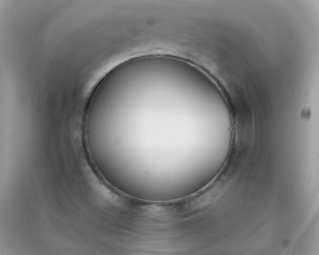 X0000091301500200708172158