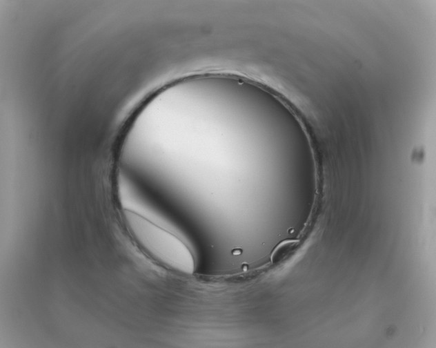 X0000091301502200708172158