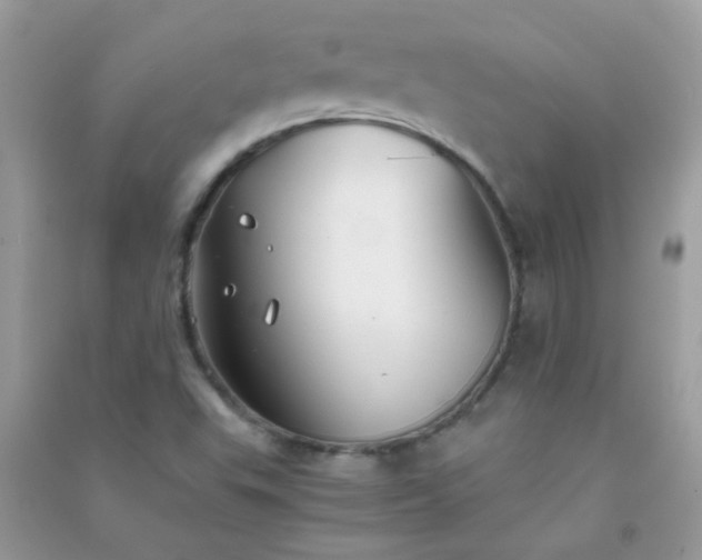 X0000091301503200708172158