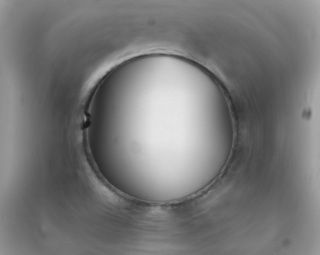 X0000091301504200708172158