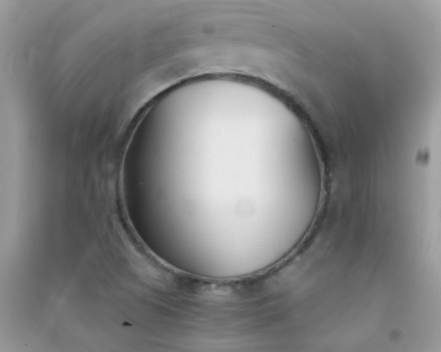 X0000091301505200708172158