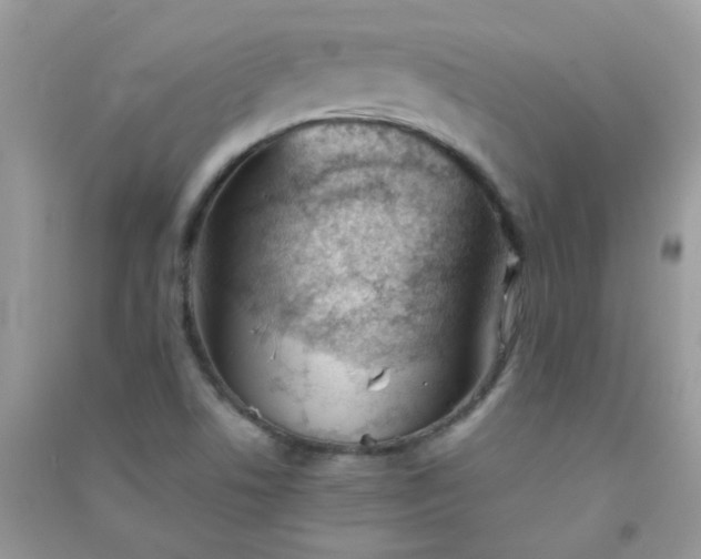 X0000091301506200708172158