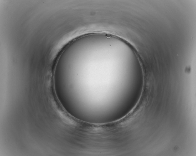 X0000091301507200708172158