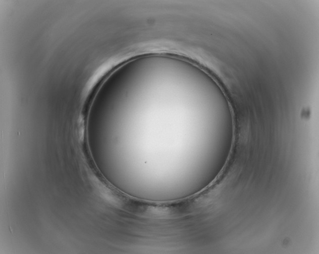 X0000091301509200708172158