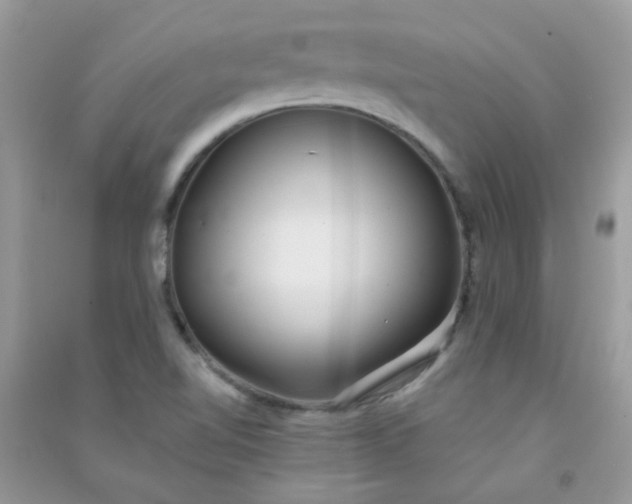 X0000091301510200708172158