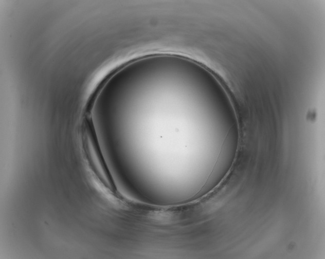 X0000091301511200708172158