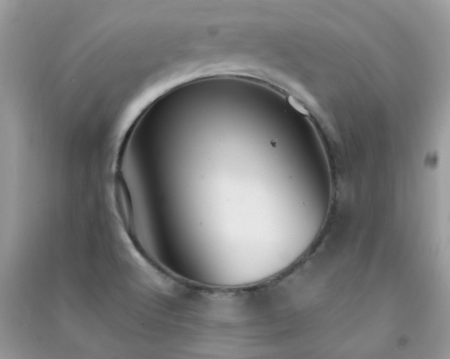 X0000091301512200708172158